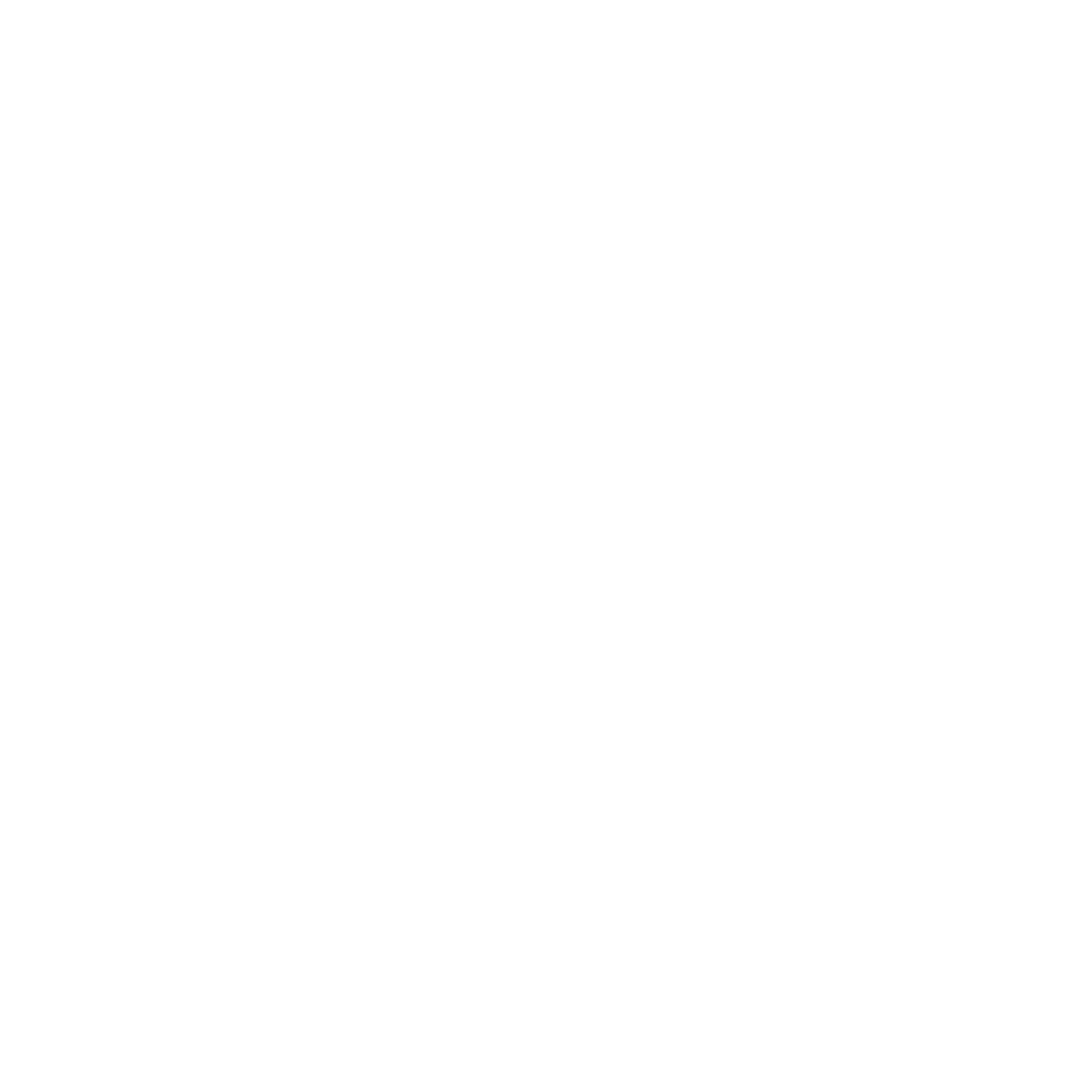 Flipkart